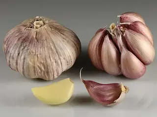 Ajo (Allium sativum)