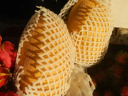 el fruto de la planta, en detalle