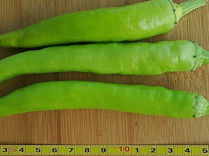 el fruto de la planta, en detalle